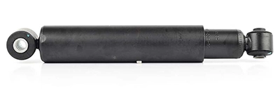 BSG 60-300-008
