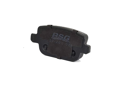 BSG 30-200-029