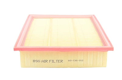 BSG 60-135-012