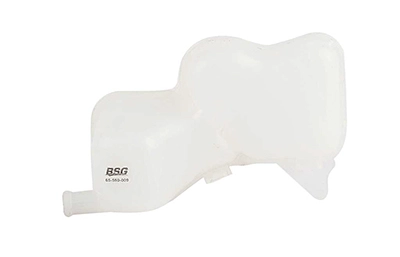 BSG 65-550-009