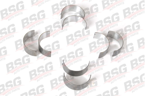 BSG 30-121-001