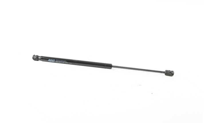 BSG 25-980-007