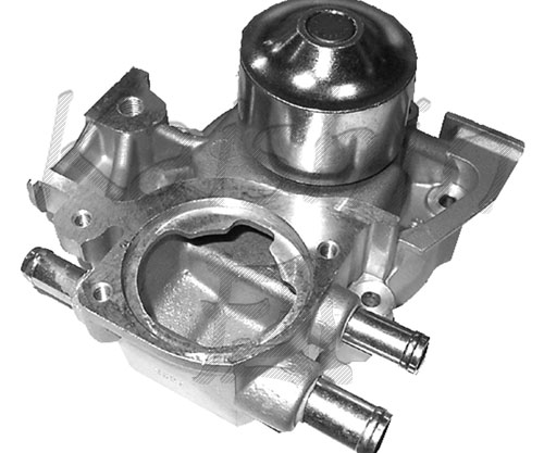 WPK266