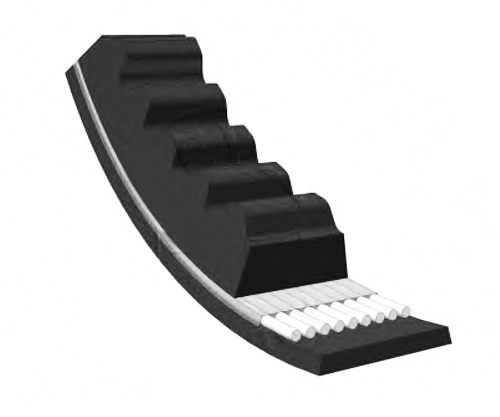 MB813344