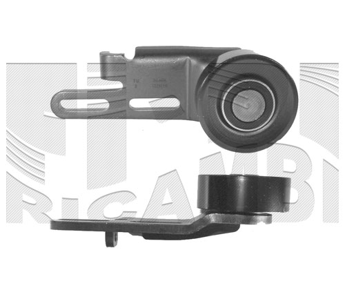 FI2450