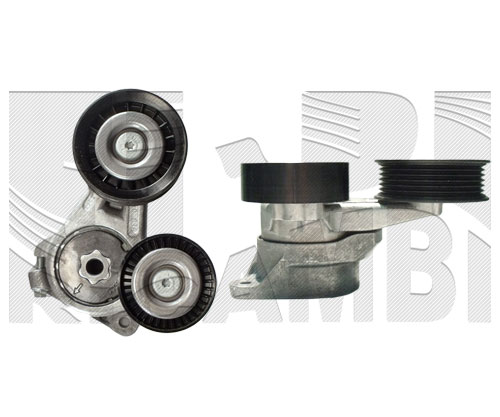 FI17250