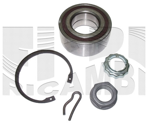 RK4018