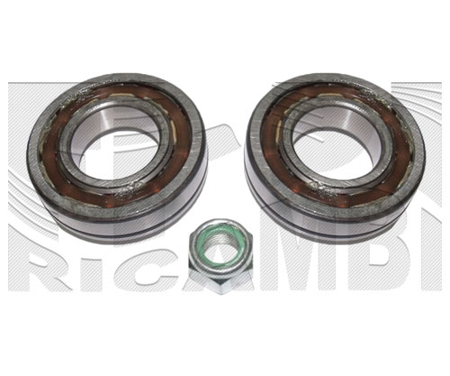 RK3015