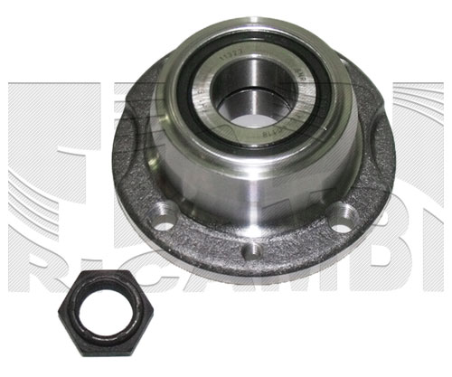 RA9079