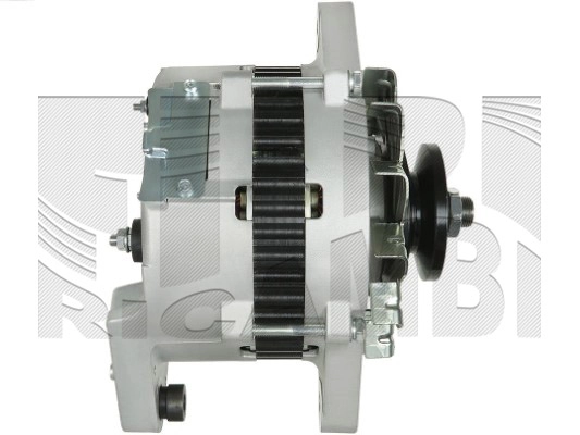 ANK618
