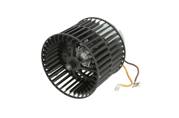 DDX011TT