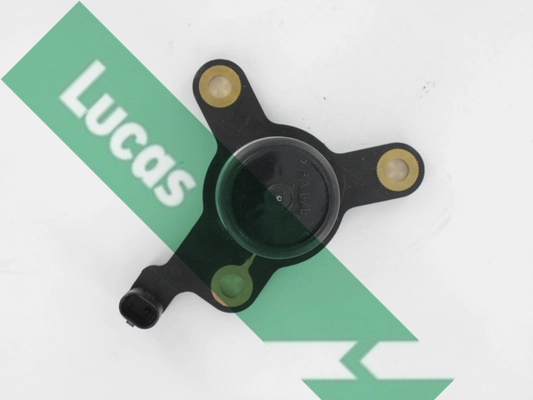 LLS314