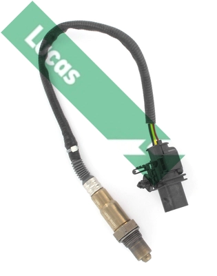 LEB5353