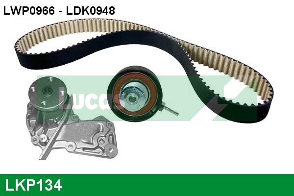 LKP134