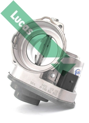 LTH444