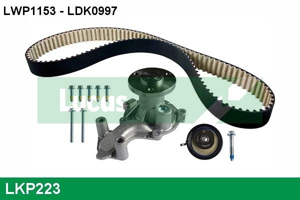 LKP223