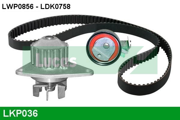 LKP036