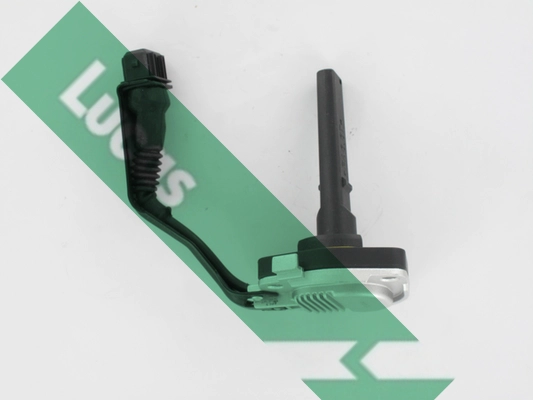 LLS308