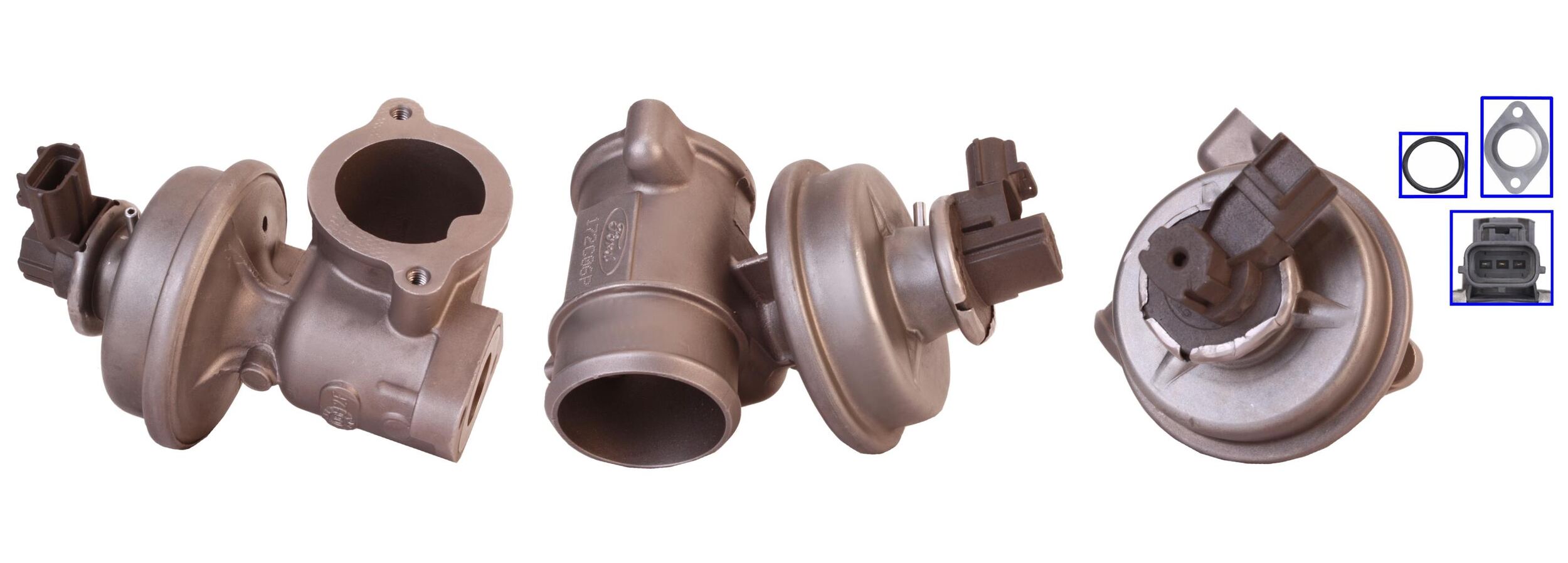 LEV0036