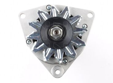 CGB-11310