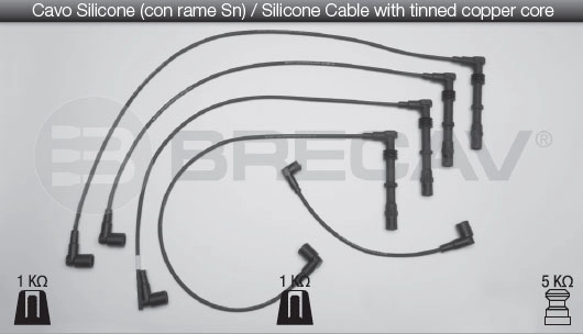 53905431