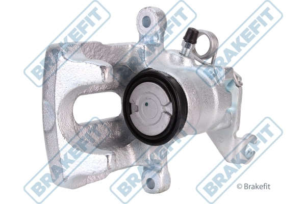 BCA1318