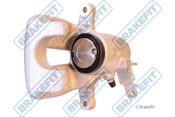 BCA1028
