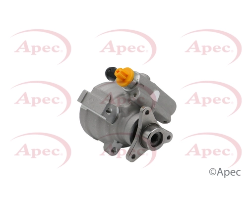 APS1001