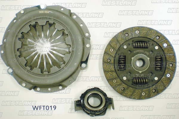 WFT019