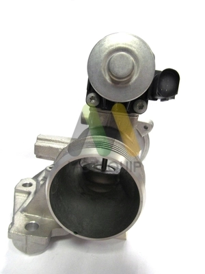 LVER311