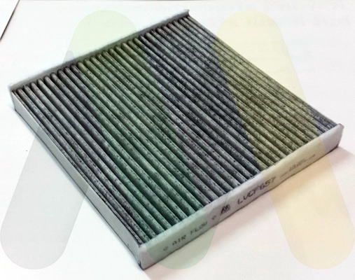 LVCF657