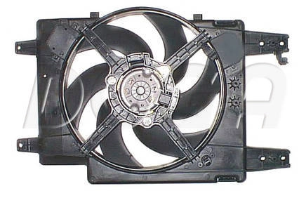 ELA019