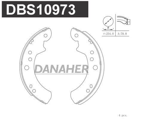 DBS10973