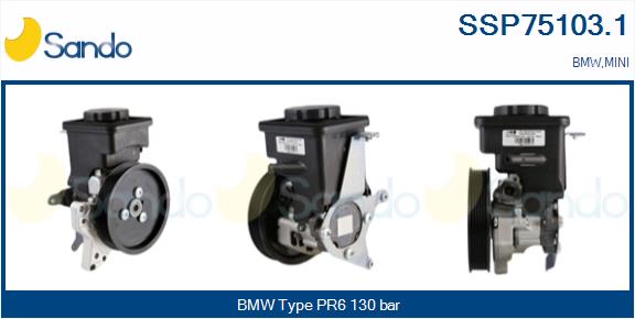 SSP75103.1