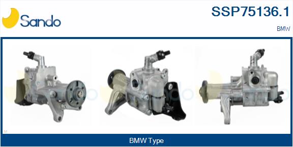 SSP75136.1