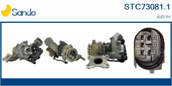 STC73081.1