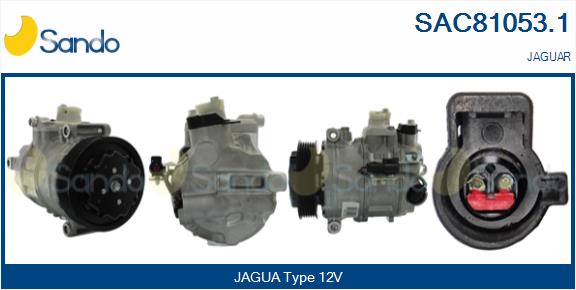 SAC81053.1