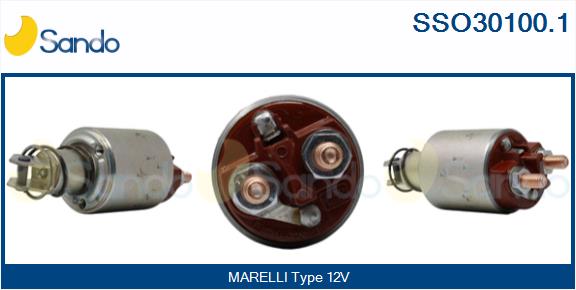 SSO30100.1