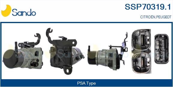 SSP70319.1