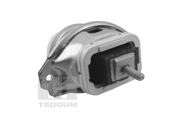 TED44341