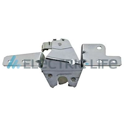 ZR37167