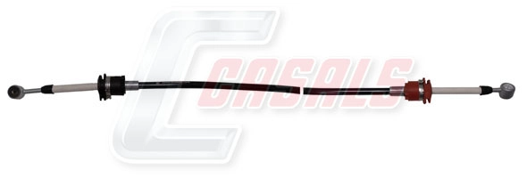 66216