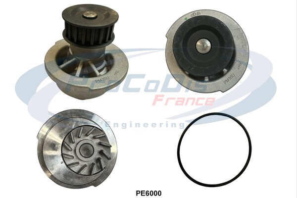 PE6000