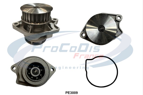 PE3009