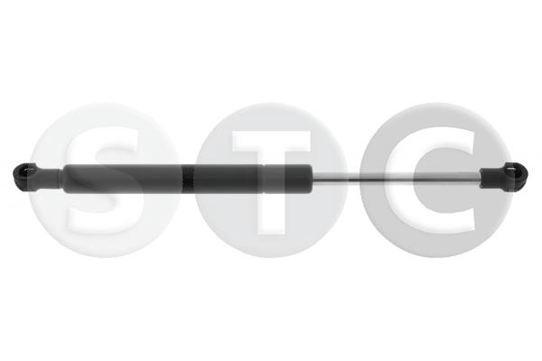 T446564