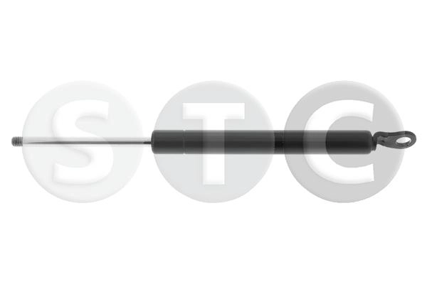 T446805