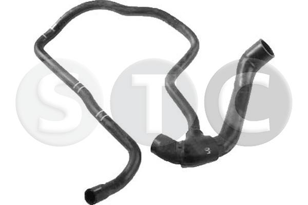 T409542