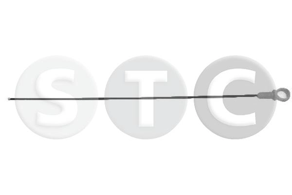 T404597