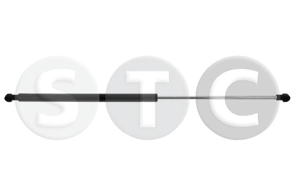 T446894