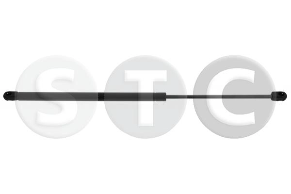 T446895